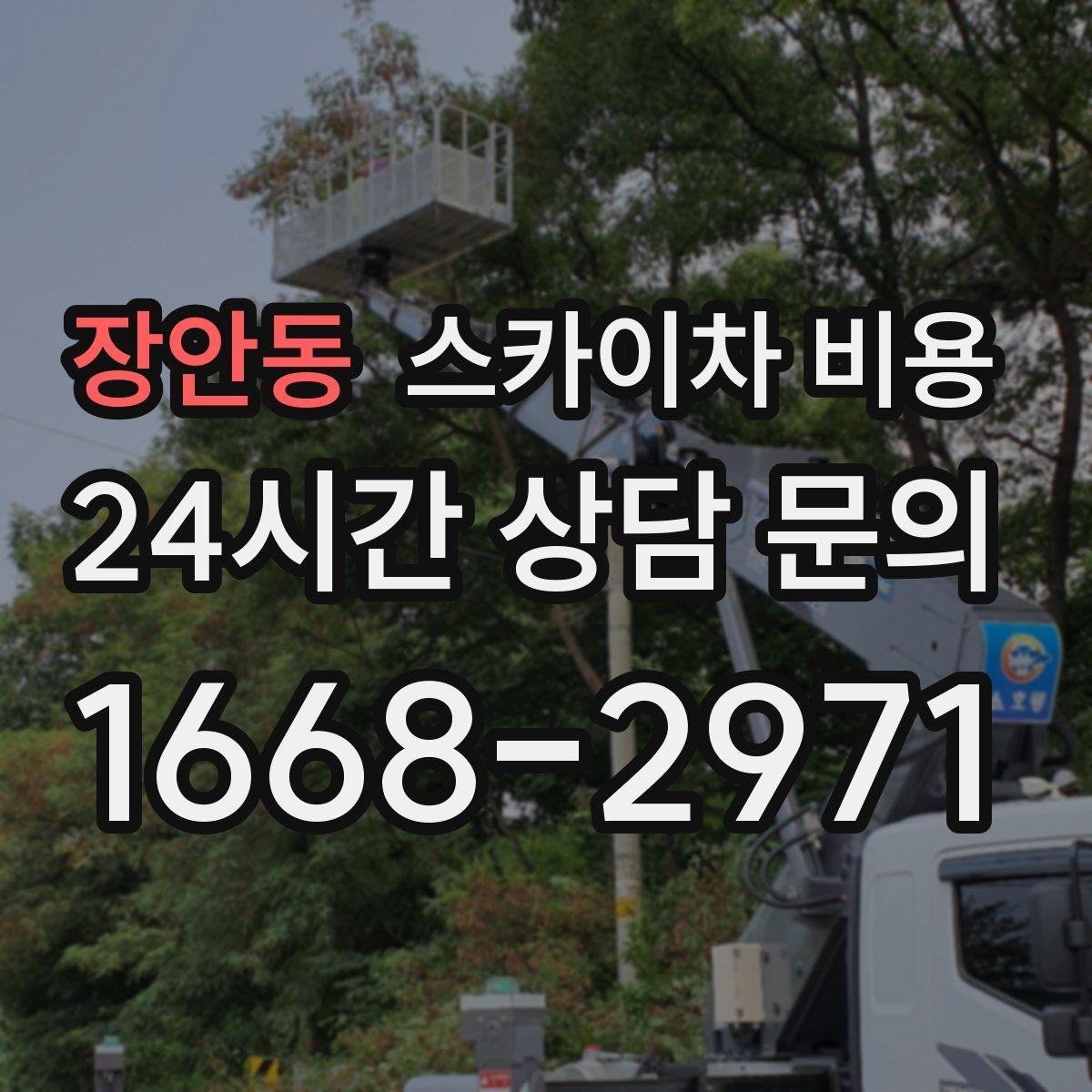 장안동 스카이차 비용 견적이 빨라지는 현장 정보 정리법