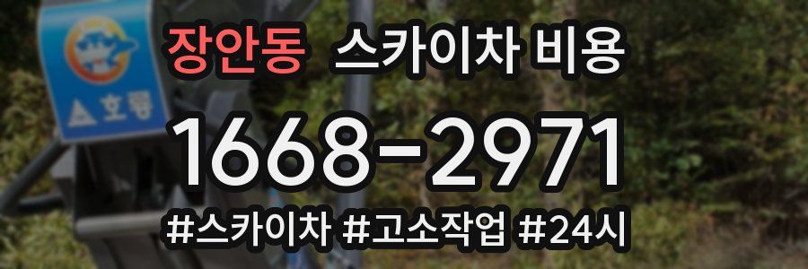 장안동 스카이차 비용