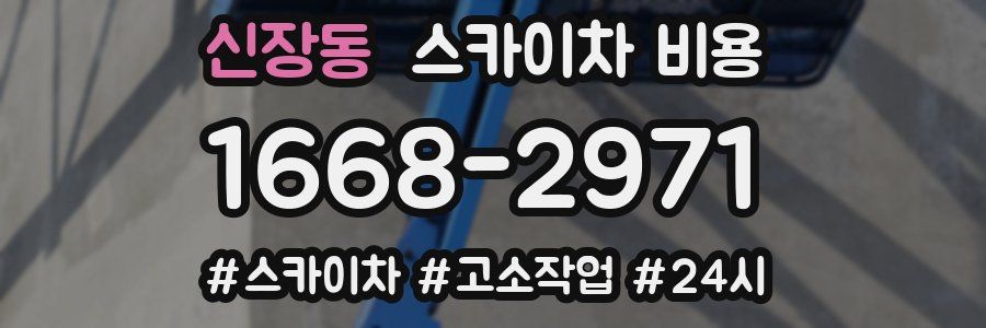 신장동 스카이차 비용