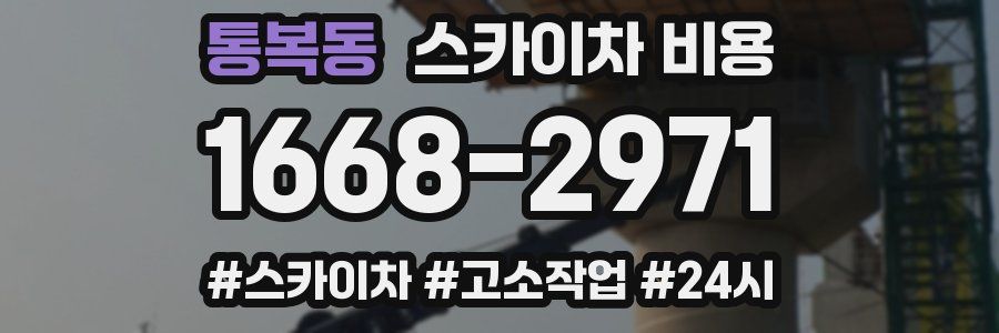 통복동 스카이차 비용