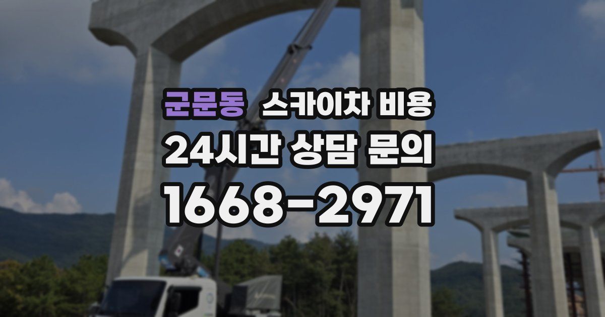군문동 스카이차 비용