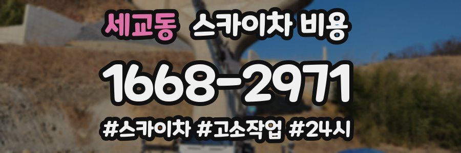 세교동 스카이차 비용