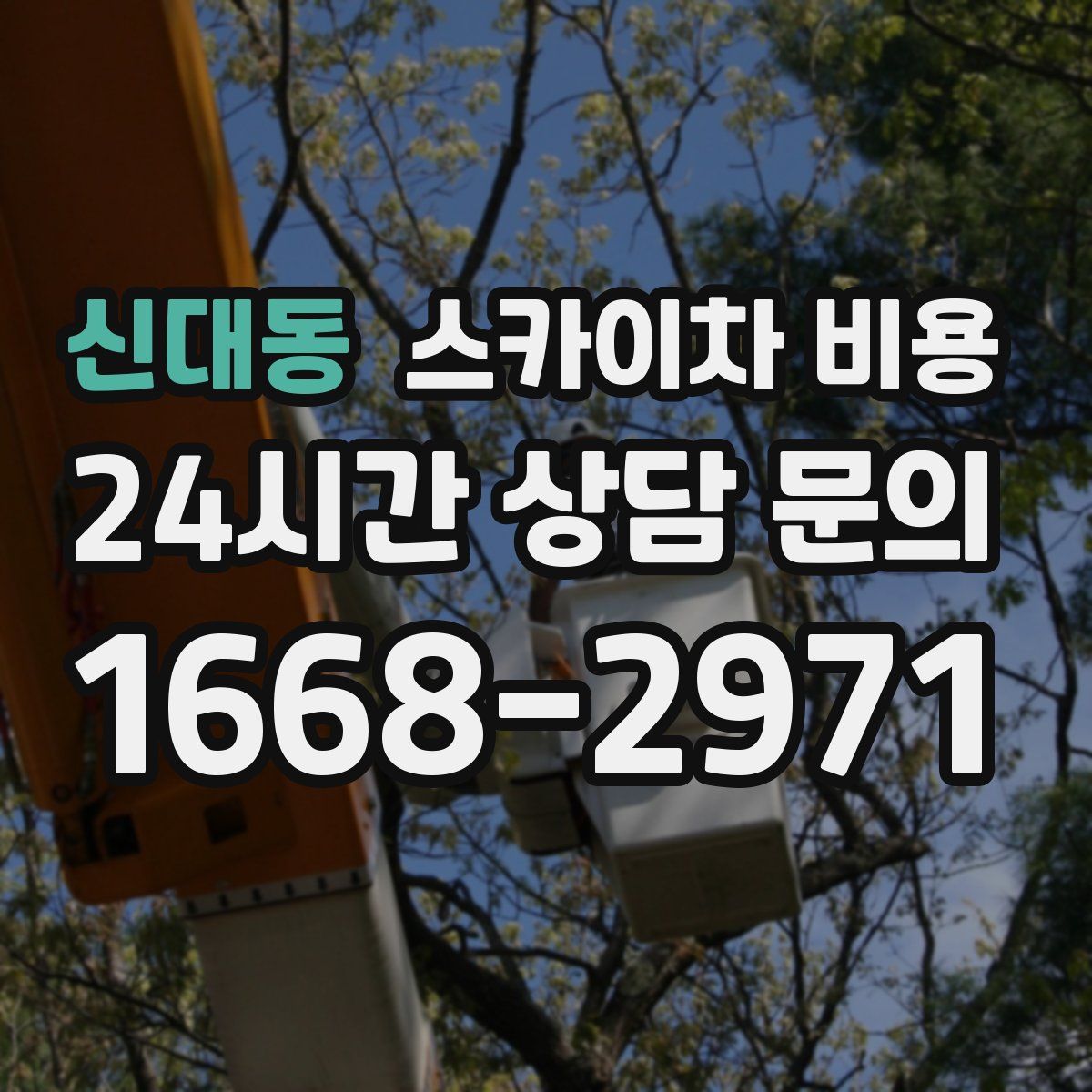 신대동 스카이차 비용