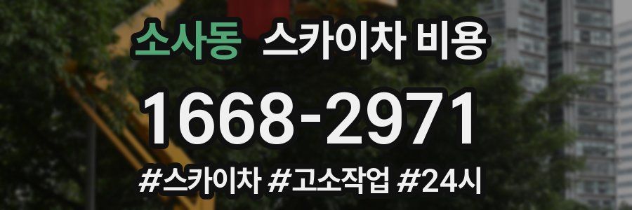 소사동 스카이차 비용