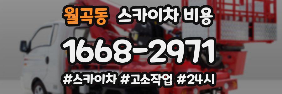 월곡동 스카이차 비용