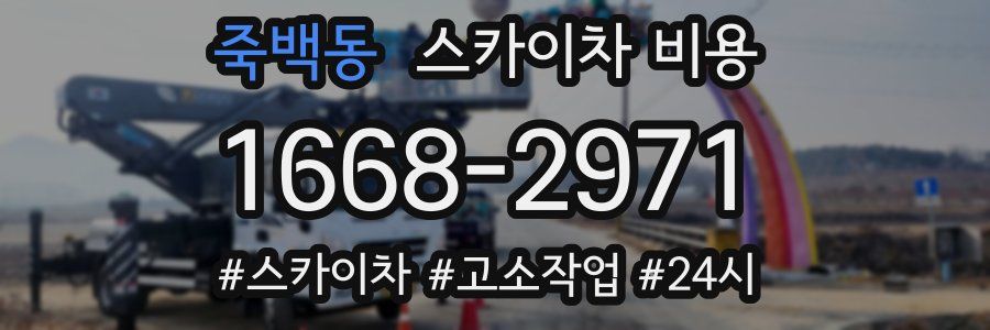 죽백동 스카이차 비용