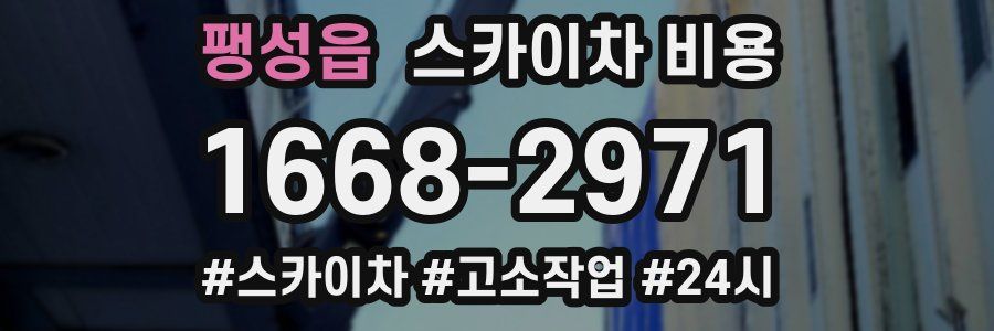 팽성읍 스카이차 비용