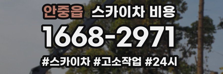 안중읍 스카이차 비용