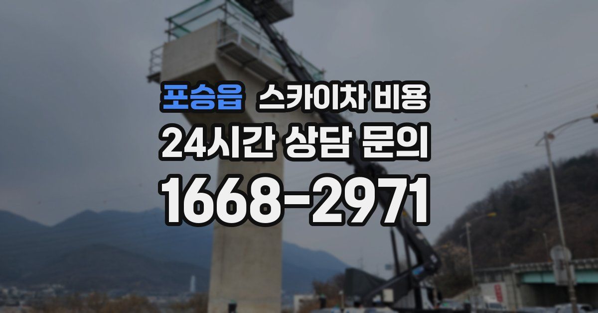 포승읍 스카이차 비용