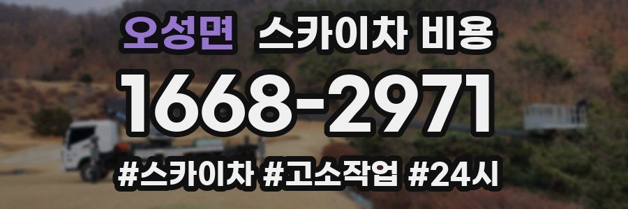 오성면 스카이차 비용