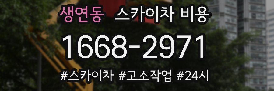 생연동 스카이차 비용