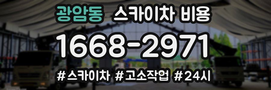 광암동 스카이차 비용