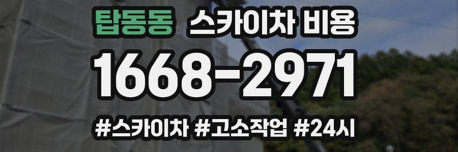 탑동동 스카이차 비용