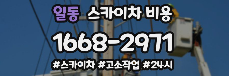 일동 스카이차 비용