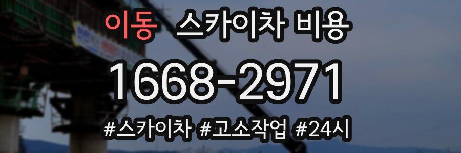 이동 스카이차 비용