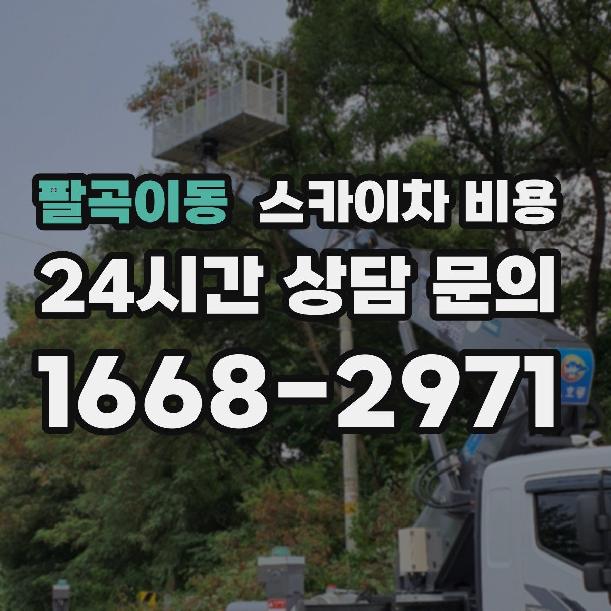 팔곡이동 스카이차 비용