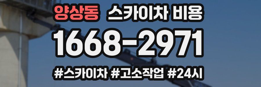 양상동 스카이차 비용