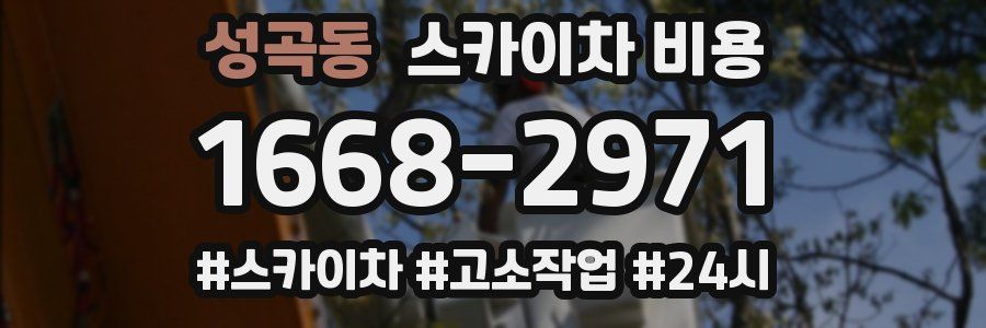 성곡동 스카이차 비용