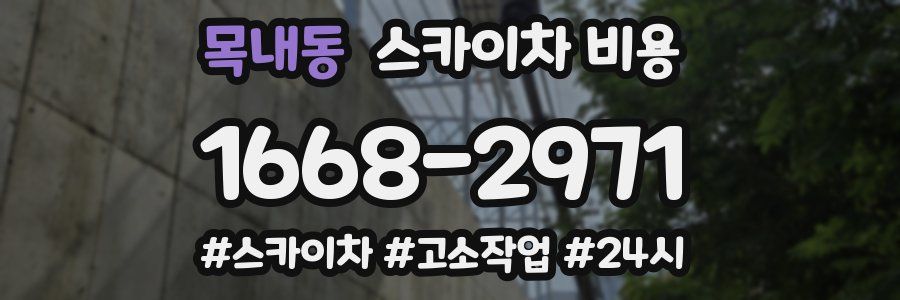 목내동 스카이차 비용