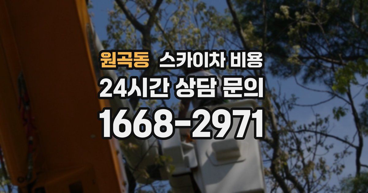 원곡동 스카이차 비용