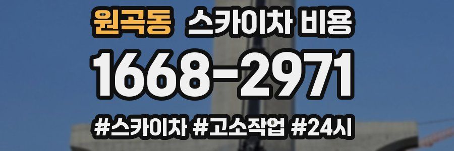 원곡동 스카이차 비용