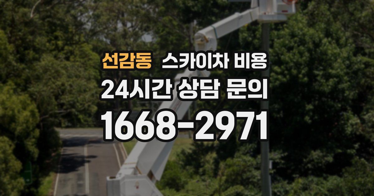 선감동 스카이차 비용