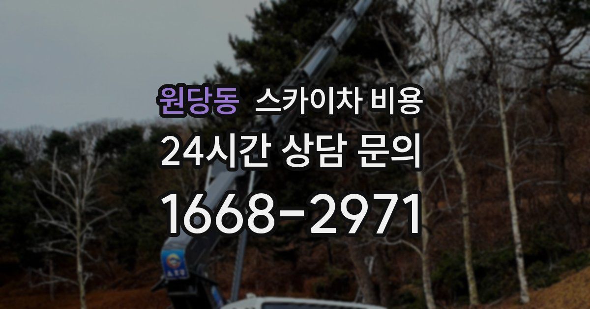 원당동 스카이차 비용