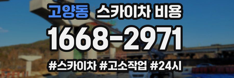 고양동 스카이차 비용