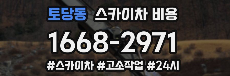 토당동 스카이차 비용