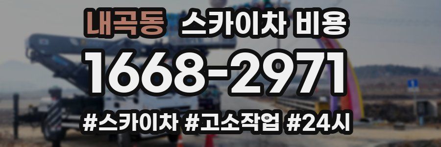 내곡동 스카이차 비용