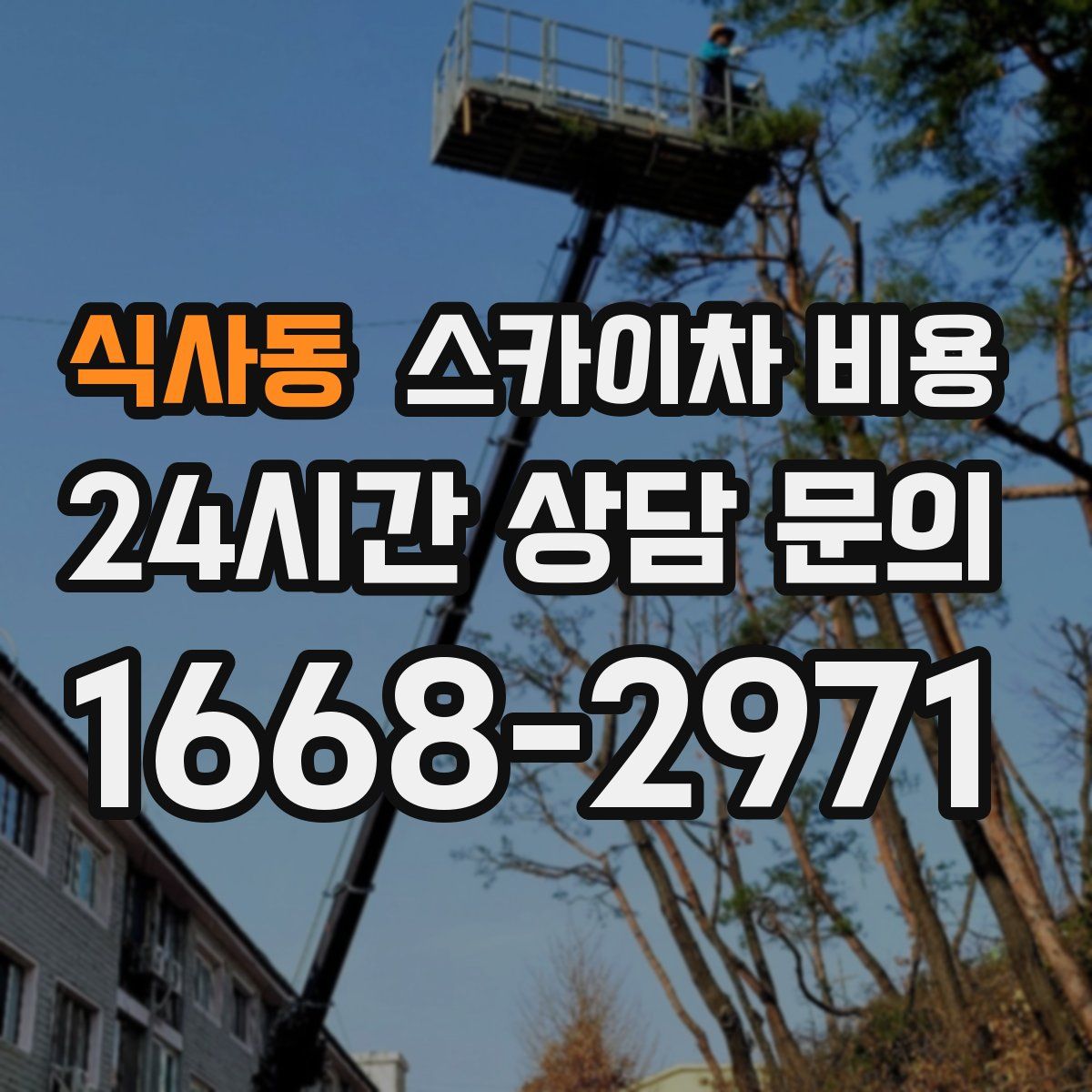 식사동 스카이차 비용