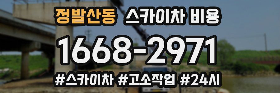 정발산동 스카이차 비용