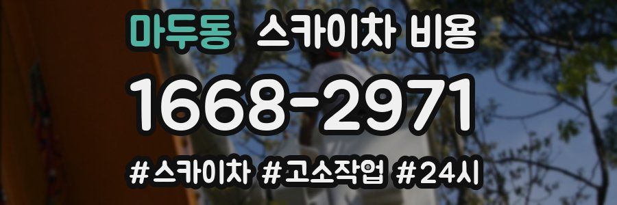 마두동 스카이차 비용