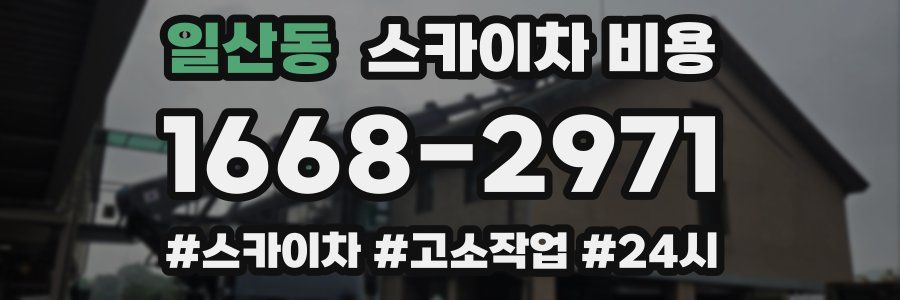 일산동 스카이차 비용