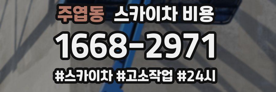 주엽동 스카이차 비용