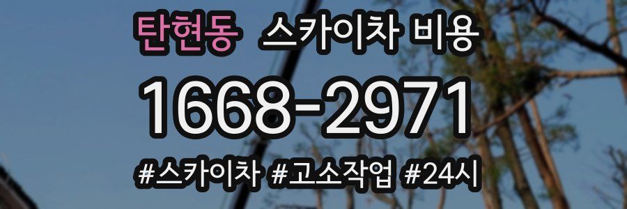 탄현동 스카이차 비용
