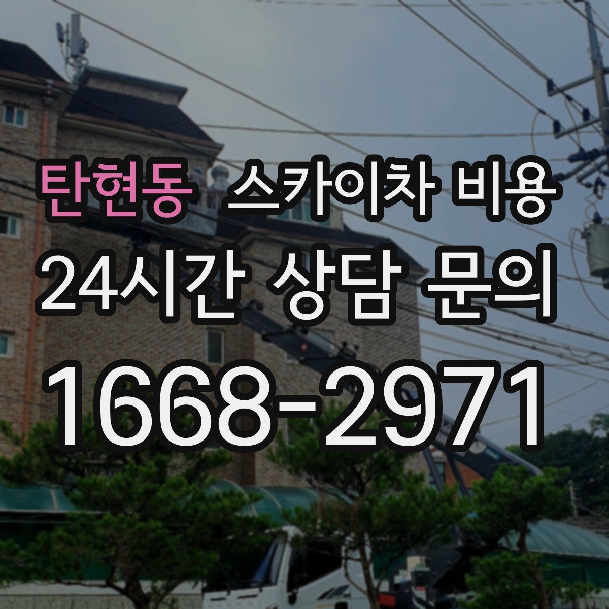 탄현동 스카이차 비용