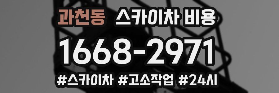 과천동 스카이차 비용