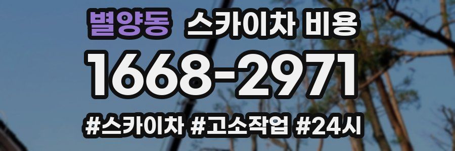 별양동 스카이차 비용