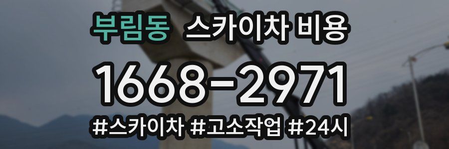 부림동 스카이차 비용