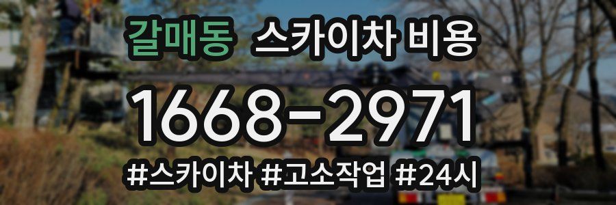 갈매동 스카이차 비용