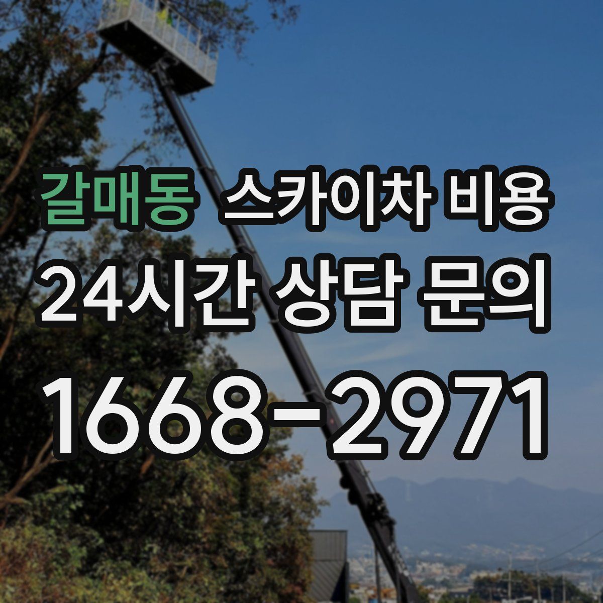 갈매동 스카이차 비용