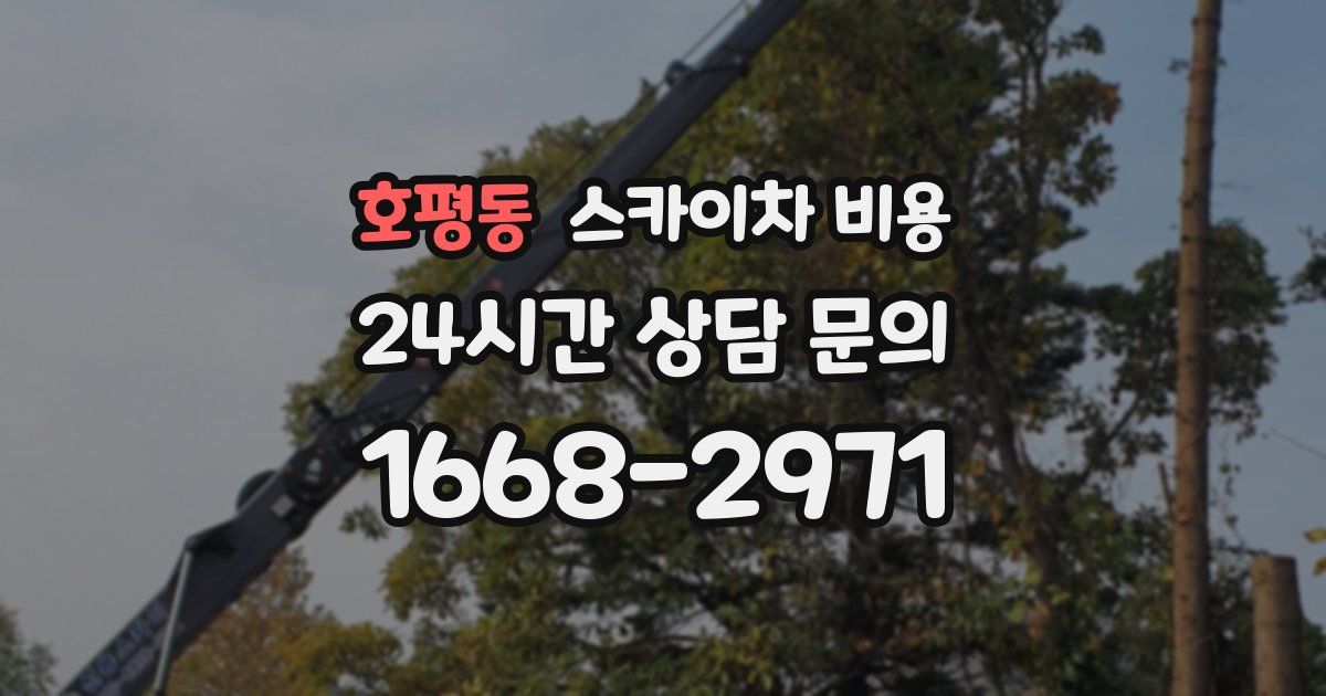 호평동 스카이차 비용