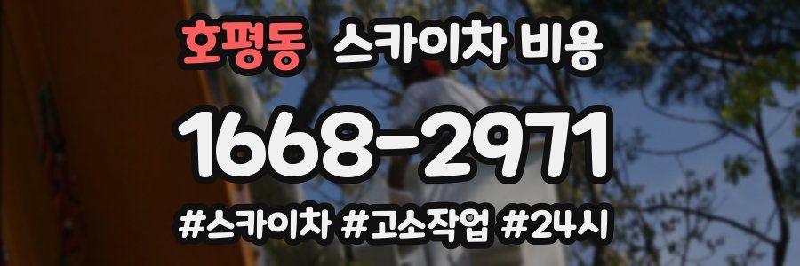 호평동 스카이차 비용