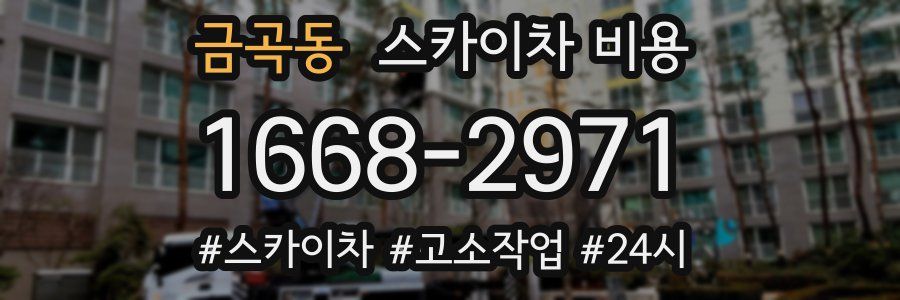 금곡동 스카이차 비용