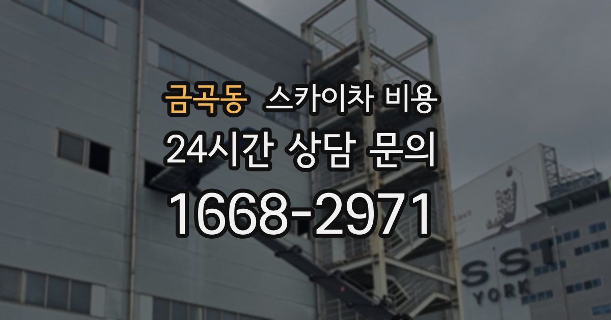 금곡동 스카이차 비용