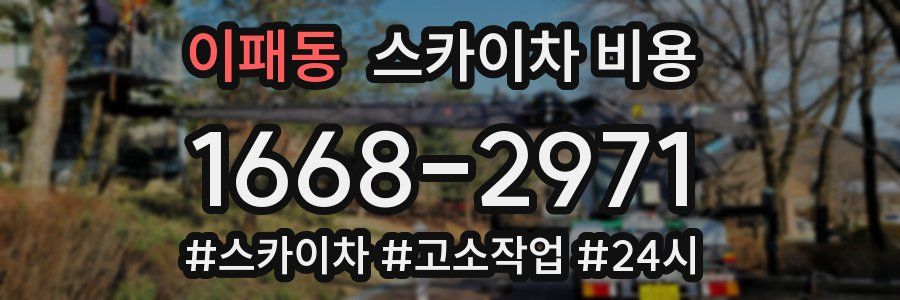 이패동 스카이차 비용