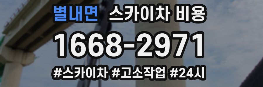 별내면 스카이차 비용