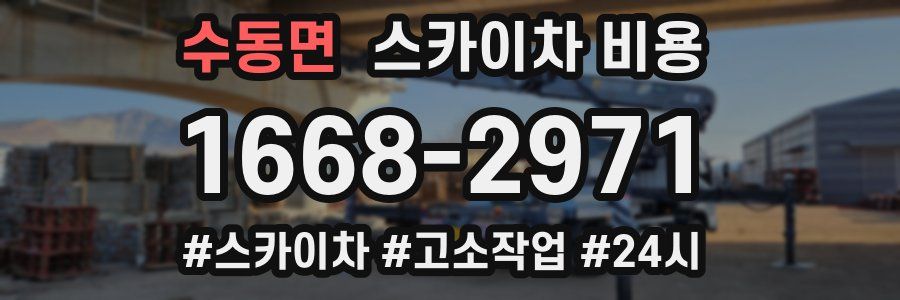 수동면 스카이차 비용