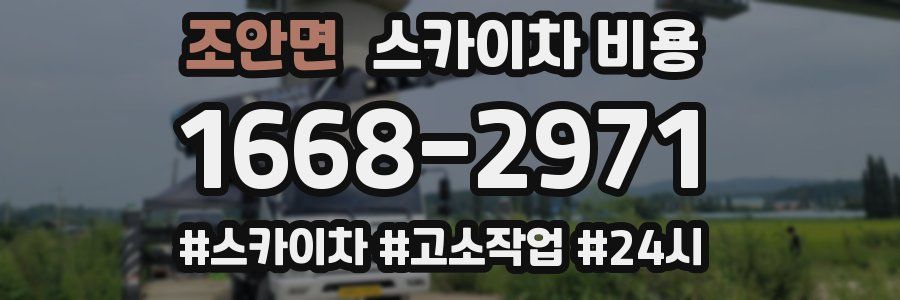 조안면 스카이차 비용